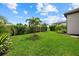 Expansive backyard with green grass and privacy hedges featuring mature palm trees at 5811 Brandon Run, Bradenton, FL 34211