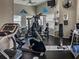 The community fitness center, furnished with modern workout equipment, windows, and television at 6210 Laurel Creek Trl, Ellenton, FL 34222