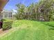 Expansive backyard with lush green grass, surrounded by tropical foliage and a screened-in patio at 686 Silk Oak Dr, Venice, FL 34293