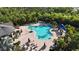 Aerial view of community pool with lounge chairs, tables, umbrellas, and lush landscaping at 11252 Fieldstone Dr, Palmetto, FL 34221
