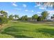 A spacious green backyard with a border of trees and plants at 11420 Golden Bay Pl, Bradenton, FL 34211