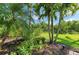 Lush tropical landscape with palm trees, green grass, and decorative mulch beds at 135 River Enclave Ct, Bradenton, FL 34212