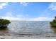 Scenic view of the water from a sandy beach shoreline with green trees and plants at 303 Bryn Mawr Is, Bradenton, FL 34207