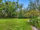 Spacious backyard features a large lawn and a variety of mature trees, creating a private outdoor space at 323 Timberlake Dr # 323, Bradenton, FL 34210