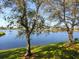 Relaxing lake view with mature trees and lush green grass at 323 Timberlake Dr # 323, Bradenton, FL 34210