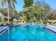Enjoy this pristine blue pool surrounded by trees and lounge chairs at 323 Timberlake Dr # 323, Bradenton, FL 34210