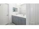 Bathroom features a double sink vanity with gray cabinetry and a large mirror at 4162 Deep Creek Ter, Parrish, FL 34219