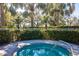 Community hot tub featuring mature palms and manicured landscaping at 4162 Deep Creek Ter, Parrish, FL 34219