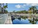 A boat lift set in a canal surrounded by mature palms, providing a picturesque waterfront lifestyle at 4741 Pinnacle Dr, Bradenton, FL 34208