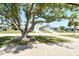 Charming property with a large tree providing shade in the front yard at 568 Sheridan Dr, Venice, FL 34293