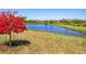 Peaceful backyard view showcasing lush landscaping, a serene pond, and neighboring houses at 10519 Spring Tide Way, Parrish, FL 34219