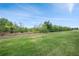 View of the lush green backyard with thick shrubbery and trees under a bright blue sky at 11828 Sky Acres Ter, Bradenton, FL 34211