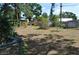 Spacious backyard with chain link fence and various plants offers a private outdoor retreat at 1711 30Th W St, Bradenton, FL 34205