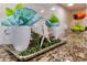 Close up of kitchen decor with starfish and succulents on granite countertop at 1727 88Th Nw Ct, Bradenton, FL 34209