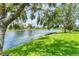 Scenic pond view featuring lush green grass on the shoreline beneath a large tree at 1727 88Th Nw Ct, Bradenton, FL 34209
