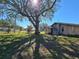 View of the backyard of the home with large shade tree at 220 29Th E St, Palmetto, FL 34221