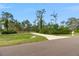 Long driveway leading to property through a serene wooded landscape under a clear sky at 30416 Saddlebag Trl, Myakka City, FL 34251