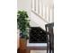 Under-stair wine storage with a leafy green plant adjacent at 30416 Saddlebag Trl, Myakka City, FL 34251