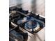 Close up of the range highlighting stainless steel burners and blue flames at 30416 Saddlebag Trl, Myakka City, FL 34251