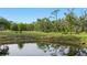 Picturesque pond reflecting the surrounding trees and sky, offering a tranquil setting at 30416 Saddlebag Trl, Myakka City, FL 34251