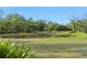 Scenic view of a pond surrounded by a large grassy field and mature trees at 30416 Saddlebag Trl, Myakka City, FL 34251