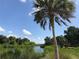 Scenic water view highlighting a palm tree with a serene water backdrop and clear blue skies at 3811 30Th S Ave, St Petersburg, FL 33711