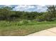 Scenic water view showcasing serene water surrounded by lush greenery and clear blue skies at 3811 30Th S Ave, St Petersburg, FL 33711