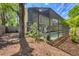 Backyard view of the home featuring a screened-in pool and lush landscaping for privacy at 4063 Woodview Dr, Sarasota, FL 34232