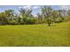 Expansive backyard with lush green grass and mature trees, creating a serene outdoor space at 4406 Baltry Ct, Bradenton, FL 34211