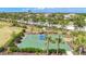 Outdoor basketball court surrounded by palm trees and lush landscaping offering a great recreational space at 5688 Woodland Sage Dr, Sarasota, FL 34238
