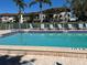 Inviting community pool with ample lounge chairs and well-maintained landscaping at 6501 Stone River Rd # 209, Bradenton, FL 34203
