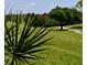 Scenic golf course view featuring lush green grass, mature trees, and a red flag marking the hole location at 6501 Stone River Rd # 209, Bradenton, FL 34203