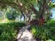 Scenic view of a landscaped path with lush ferns and a glimpse of the bay at 7520 4Th W Ave # 1, Bradenton, FL 34209
