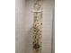 Close-up view of modern shower with rain-style shower head and decorative stone accent at 7520 4Th W Ave # 1, Bradenton, FL 34209