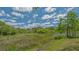 A tranquil backyard with mature trees, overlooking a serene lake, ideal for relaxation and nature lovers at 7664 Camminare Dr, Sarasota, FL 34238