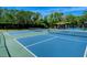 Brightly painted pickleball courts with nets and shade for a fun and active outdoor experience at 7664 Camminare Dr, Sarasota, FL 34238