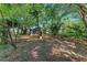 Lush backyard setting with mature trees and ample space for outdoor living at 826 Lillian Ln, Sarasota, FL 34243