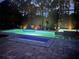 Tranquil pool area at night with ambient lighting, showcasing a peaceful outdoor retreat at 12272 Stuart Dr, Venice, FL 34293