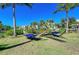 Relaxing hammocks shaded by palm trees, perfect for enjoying the peaceful community atmosphere at 275 Sapphire Lake Dr # 101, Bradenton, FL 34209