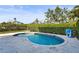 Landscaped backyard featuring a private swimming pool with stone surround and privacy landscaping at 4109 Cobia Ct, Palmetto, FL 34221