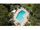 Aerial view of a luxurious pool and jacuzzi area surrounded by tropical landscaping at 631 Woodlawn Dr, Bradenton, FL 34210