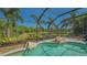View of a pool and screened-in lanai, complimented by vibrant plants and natural outdoor scenery at 7407 Green St, Bradenton, FL 34201