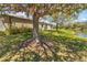Picturesque backyard with mature trees, waterfront views, and a tranquil setting at 2064 Batello Dr, Venice, FL 34292