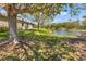 Beautiful backyard featuring lush greenery, mature trees, and serene waterfront views at 2064 Batello Dr, Venice, FL 34292
