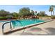 Community pool with blue handrails and lounge chairs surrounded by lush landscaping at 3006 Caring Way # 210, Port Charlotte, FL 33952