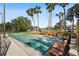 Outdoor shuffleboard courts with benches, surrounded by lush landscaping and palm trees at 3006 Caring Way # 210, Port Charlotte, FL 33952