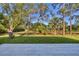 A spacious backyard with lush grass and mature trees is ideal for outdoor activities at 3694 Crittendon St, North Port, FL 34286