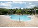 Large community pool with lounge chairs and mature landscaping at 4069 Overture Cir # 341, Bradenton, FL 34209