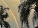 Rainbow colors in the sky complement the tropical foliage on this property at 4136 Cascade Falls Dr, Sarasota, FL 34243