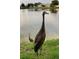Sandhill cranes enjoy the lush green landscape of this lakeside community at 4136 Cascade Falls Dr, Sarasota, FL 34243